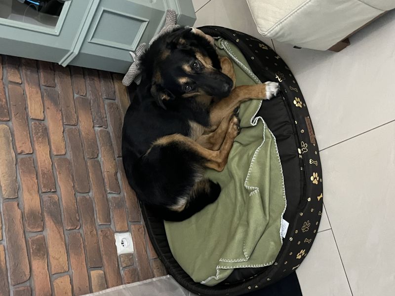 Małgorzata, Bydgoszcz