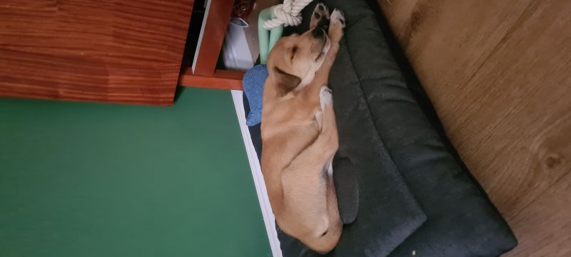 Aleksandra, Krakow Aleksandra, Krakow