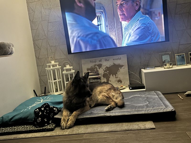 Małgorzata, Jemielnica Małgorzata, Jemielnica