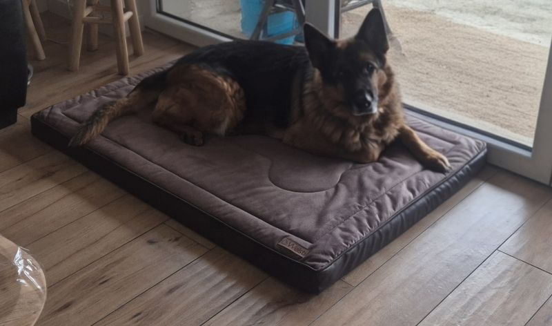 Aneta, Nowy Tomyśl Aneta, Nowy Tomyśl