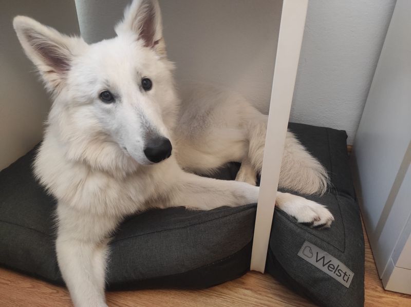 Ilanda, Warszawa Ilanda, Warszawa